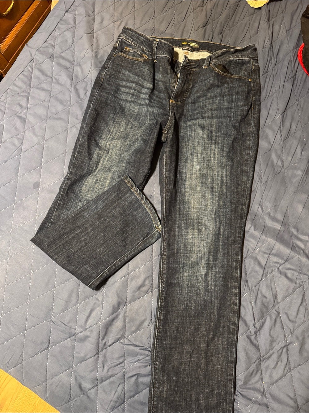 Lee Men's Straight Jeans in Dark Indigo